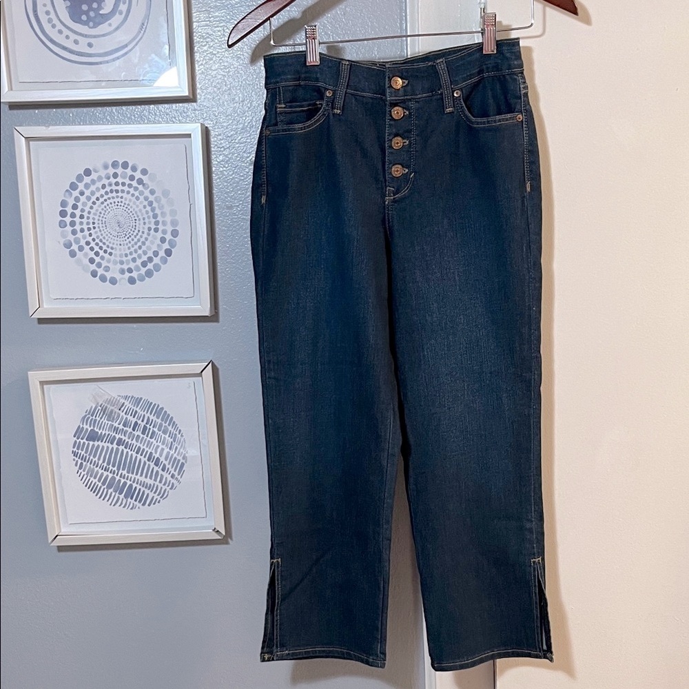 Gloria Vanderbilt Womens Button Fly Modern Straight Crop Ankle Blue Jeans Size 6